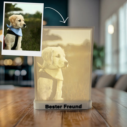 Aus Foto erstelltes personalisiertes 3D-Bild als Litografie: Hundemotiv leuchtend auf Sockel „Bester Freund“, daneben Originalbild als Vergleich.